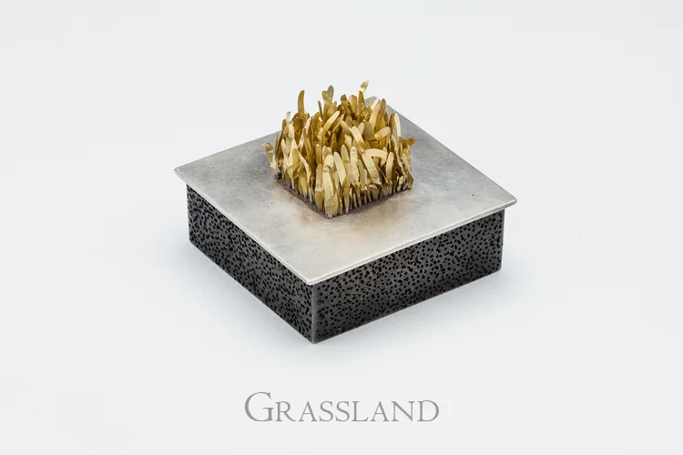 Grassland.jpg