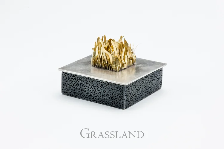 Grassland 4.jpg