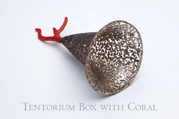 Tentorium box with coral landscape.jpg