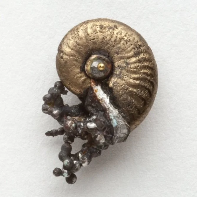 Tiny+Ammonite+Earrings.jpg