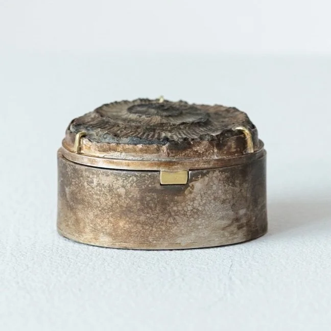 Romilly+Saumarez+Smith+Ammonite+Box_II.jpg