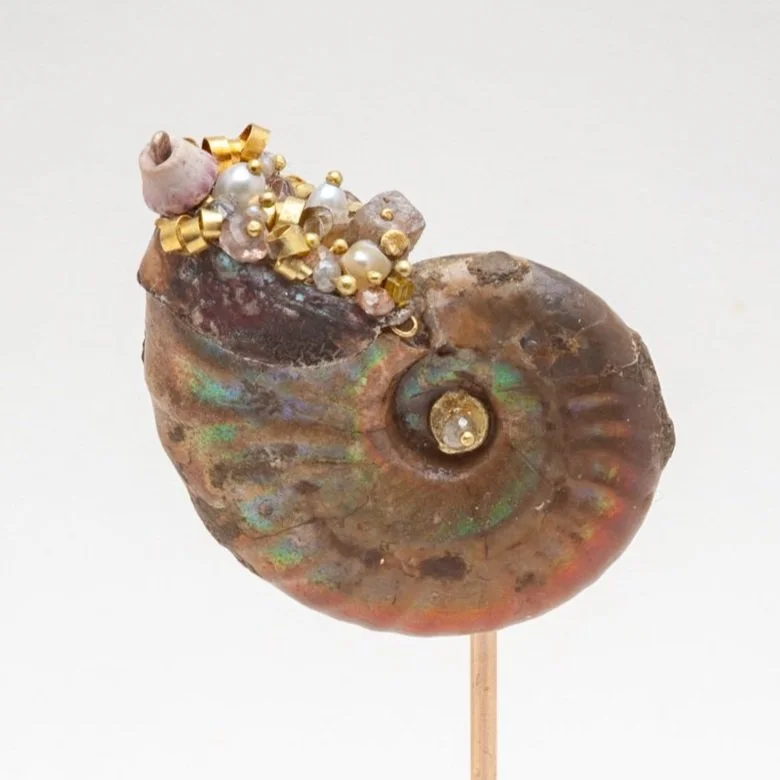 Iridescent+Ammonite+Pin+2023.jpg