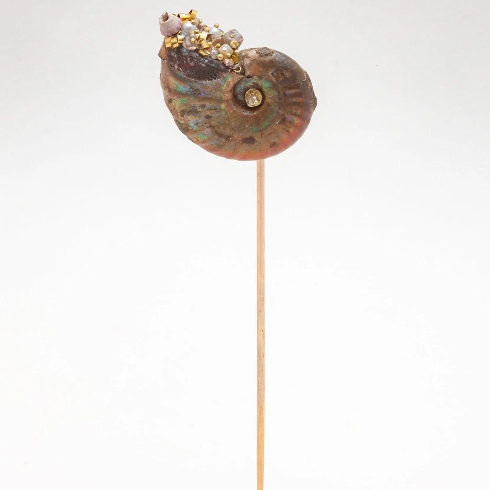 Iridescent+Ammonite+Pin+2023.jpg