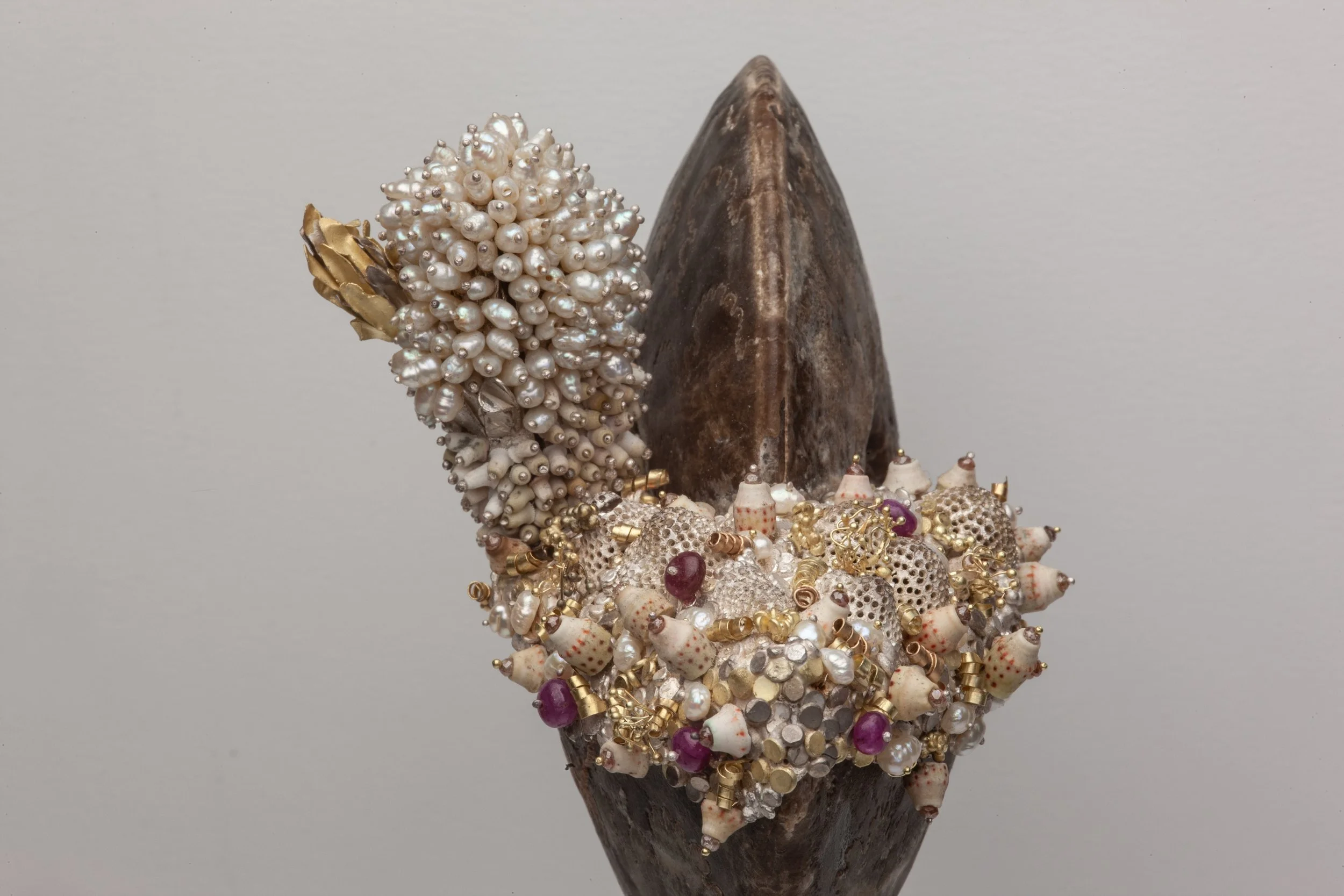 When Ammonites Ruled detail 2.jpg