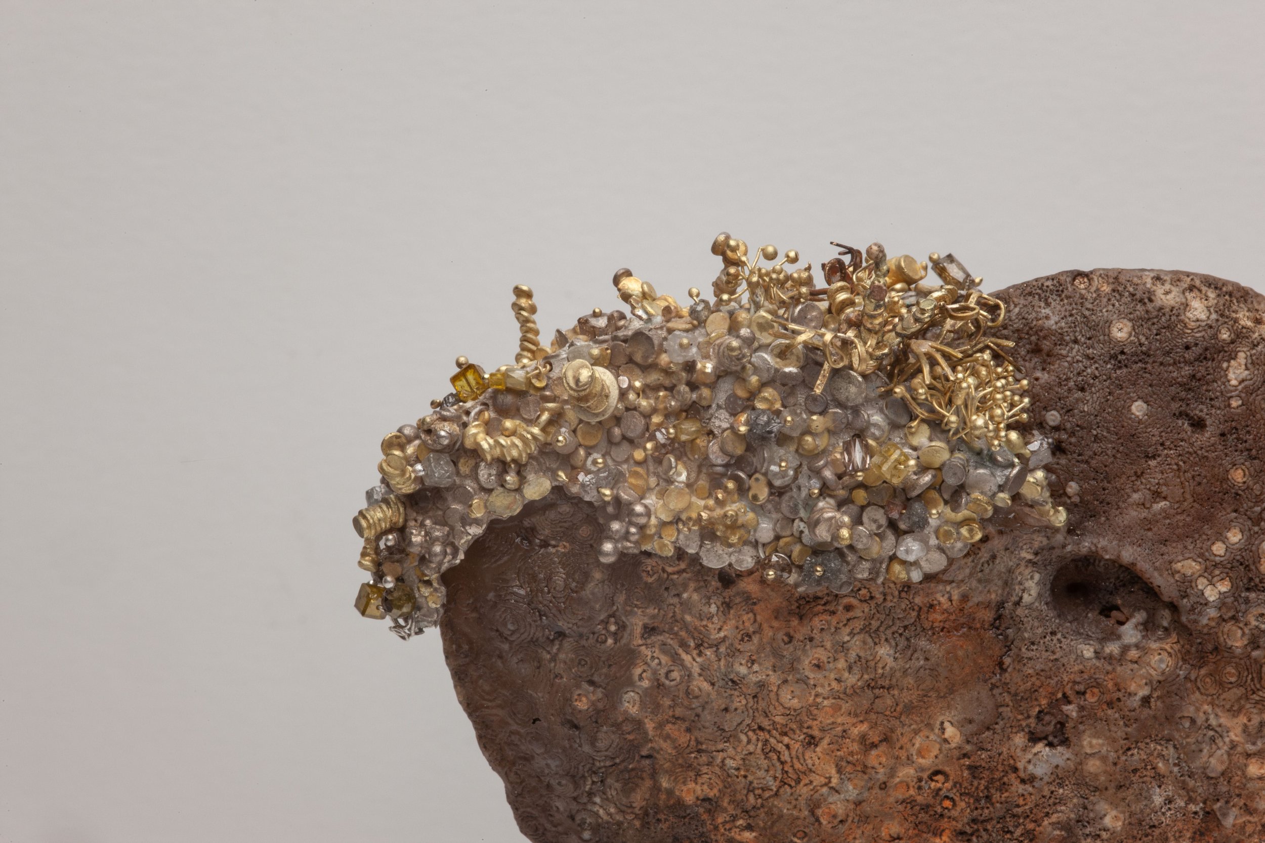 When Ammonites Ruled detail 3-.jpg