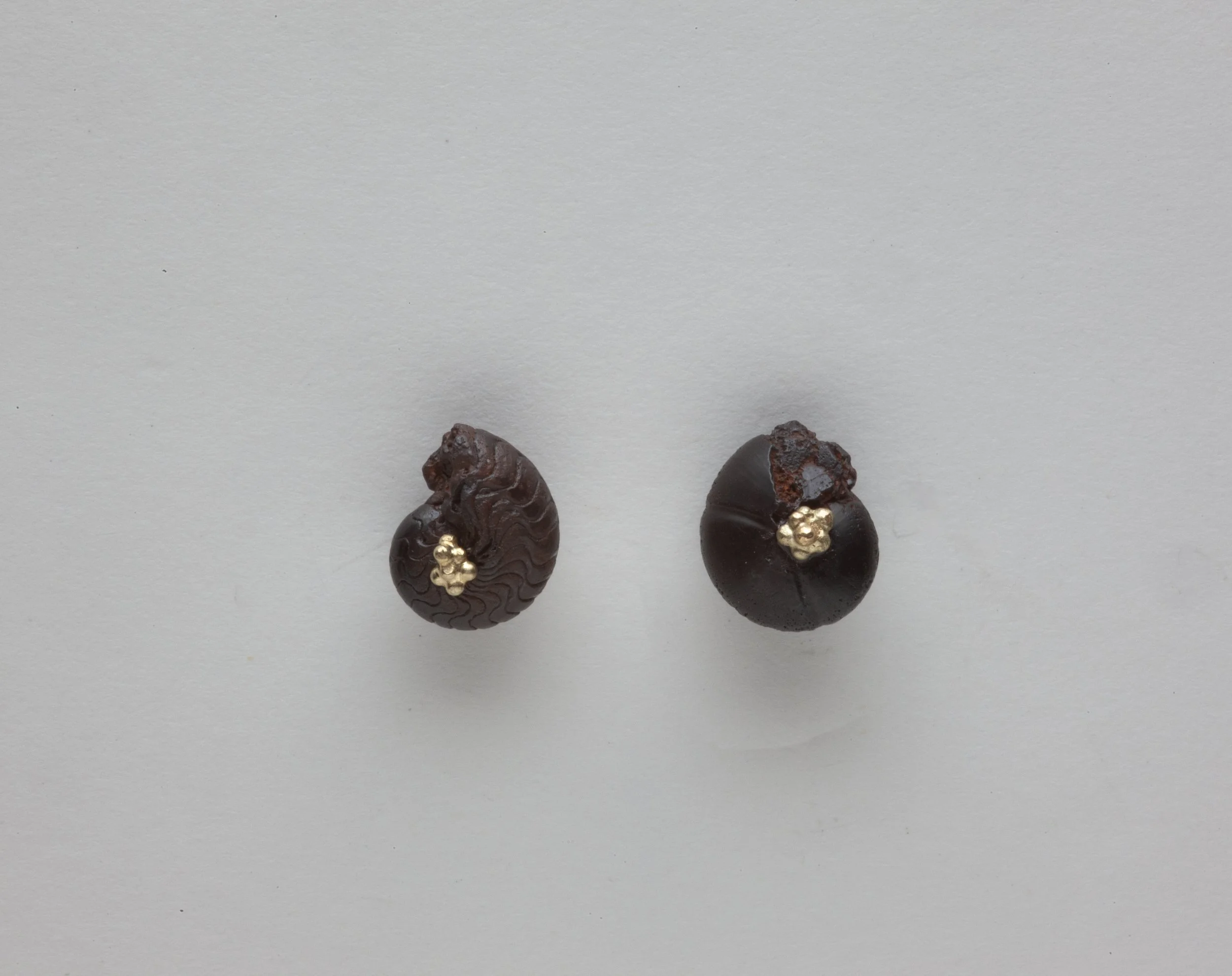 Small Black Ammonites with Gold 1.jpg