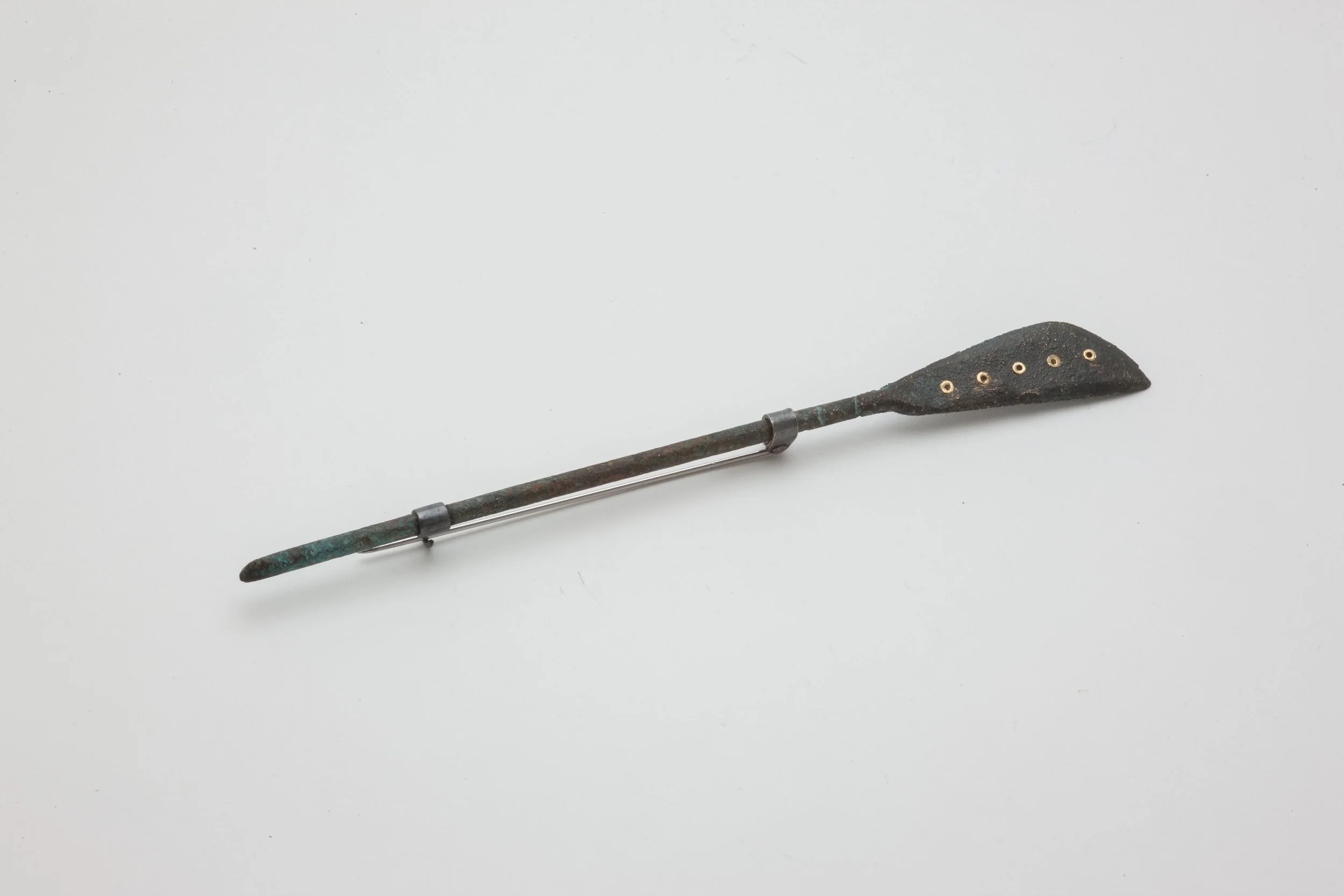 Spatulated paddle_2_9-2026.jpg