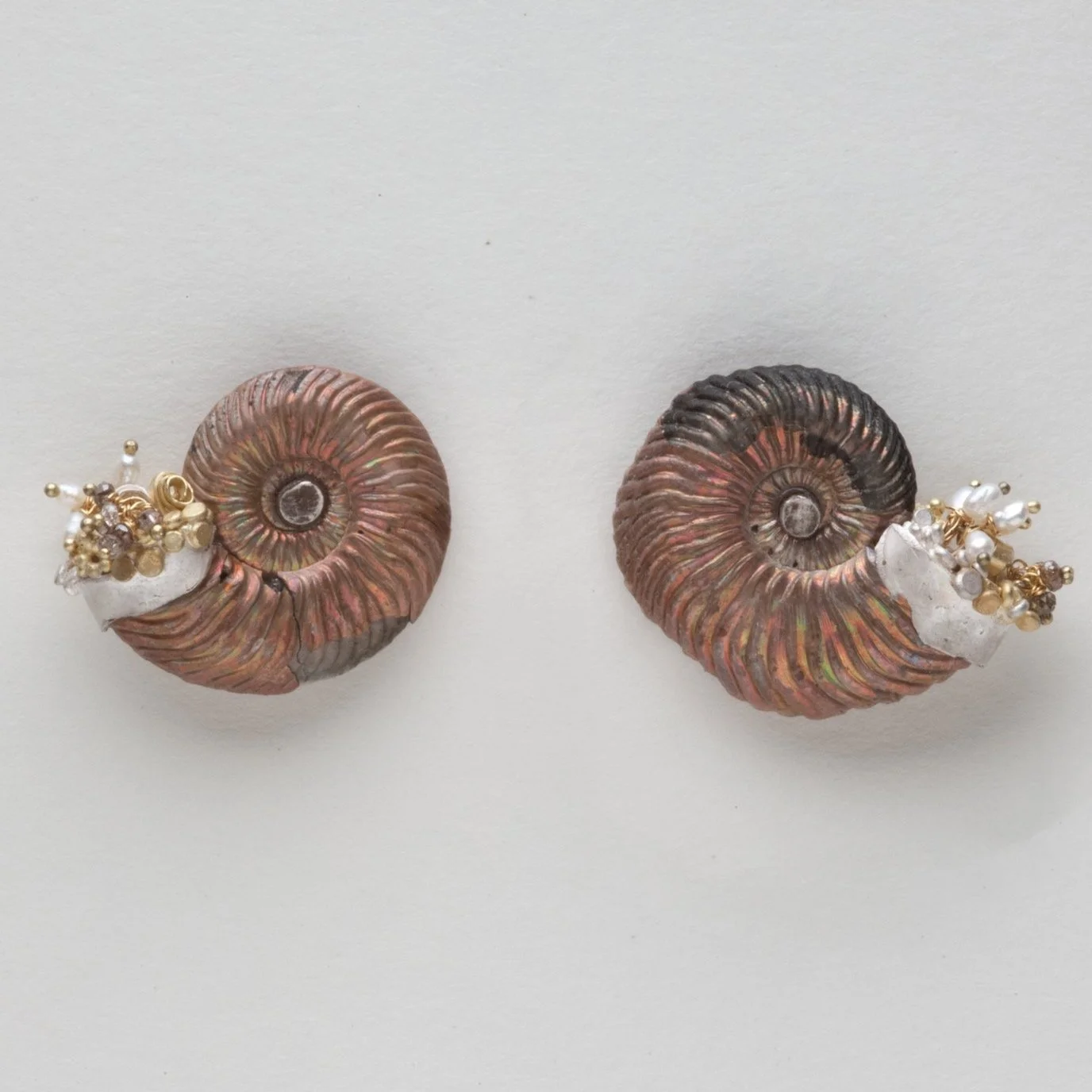 Irridescent+Ammonite+Earrings.jpg