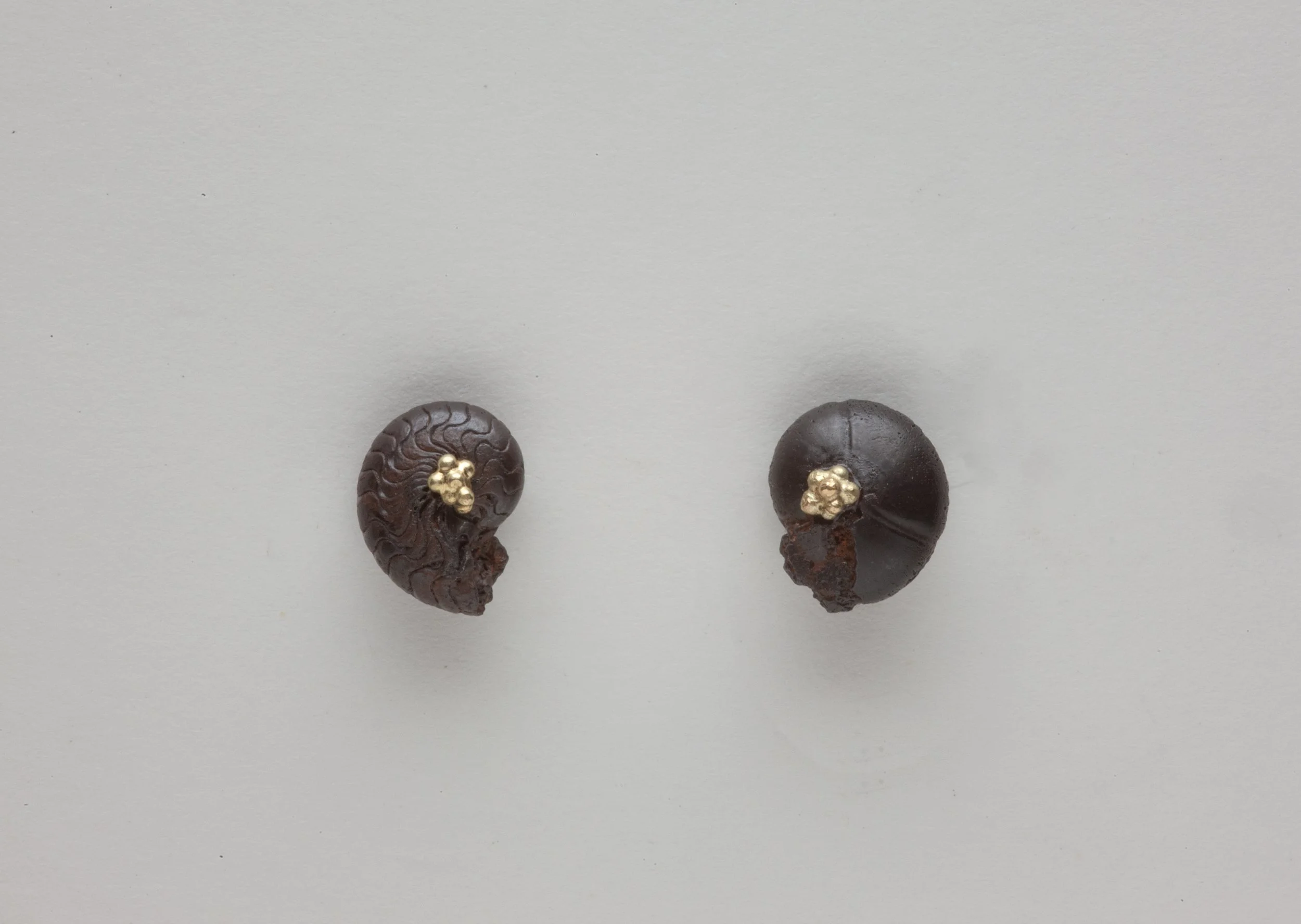Small Black Ammonites with Gold.jpg