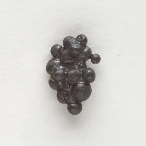 Black+grapes+studs+2025.jpg