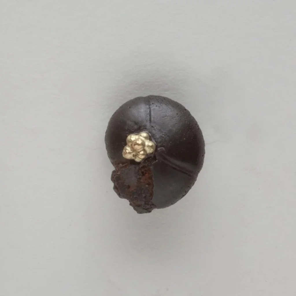 Small+Black+Ammonites+with+Gold.jpg