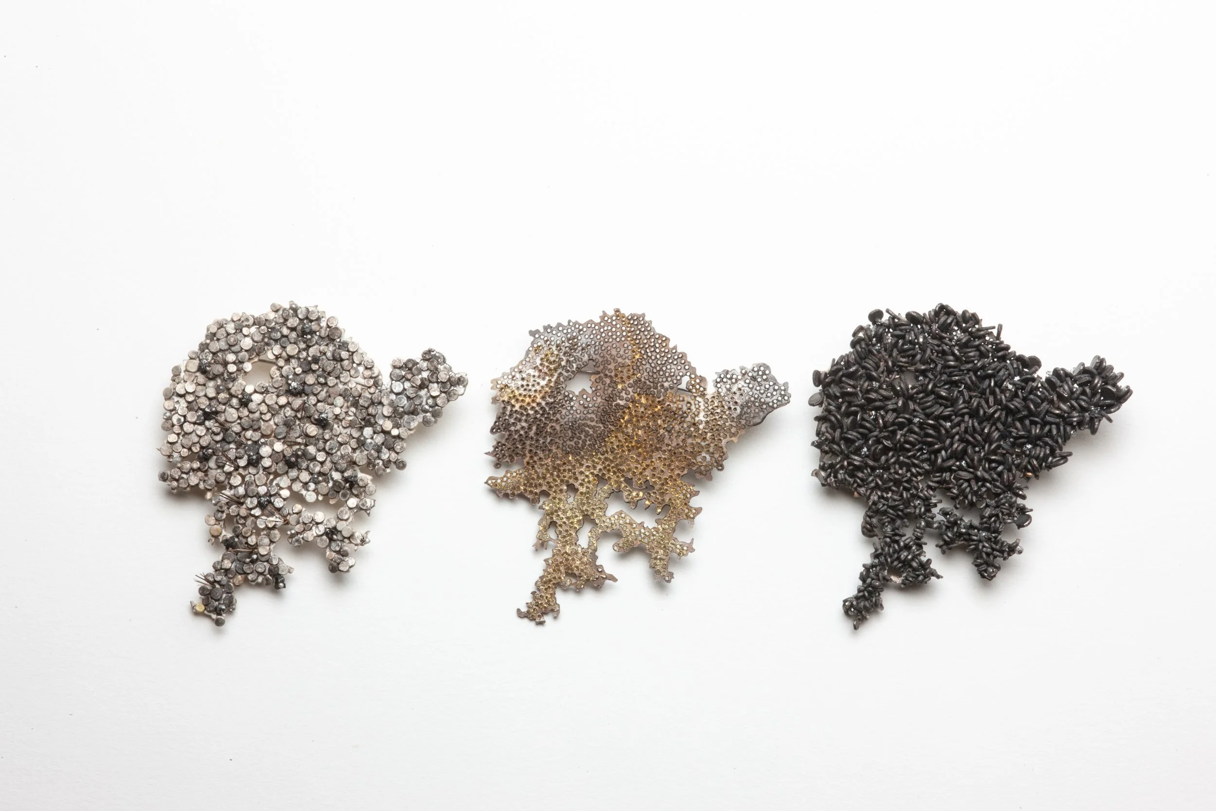 Tradescant series (2) 2024.jpg