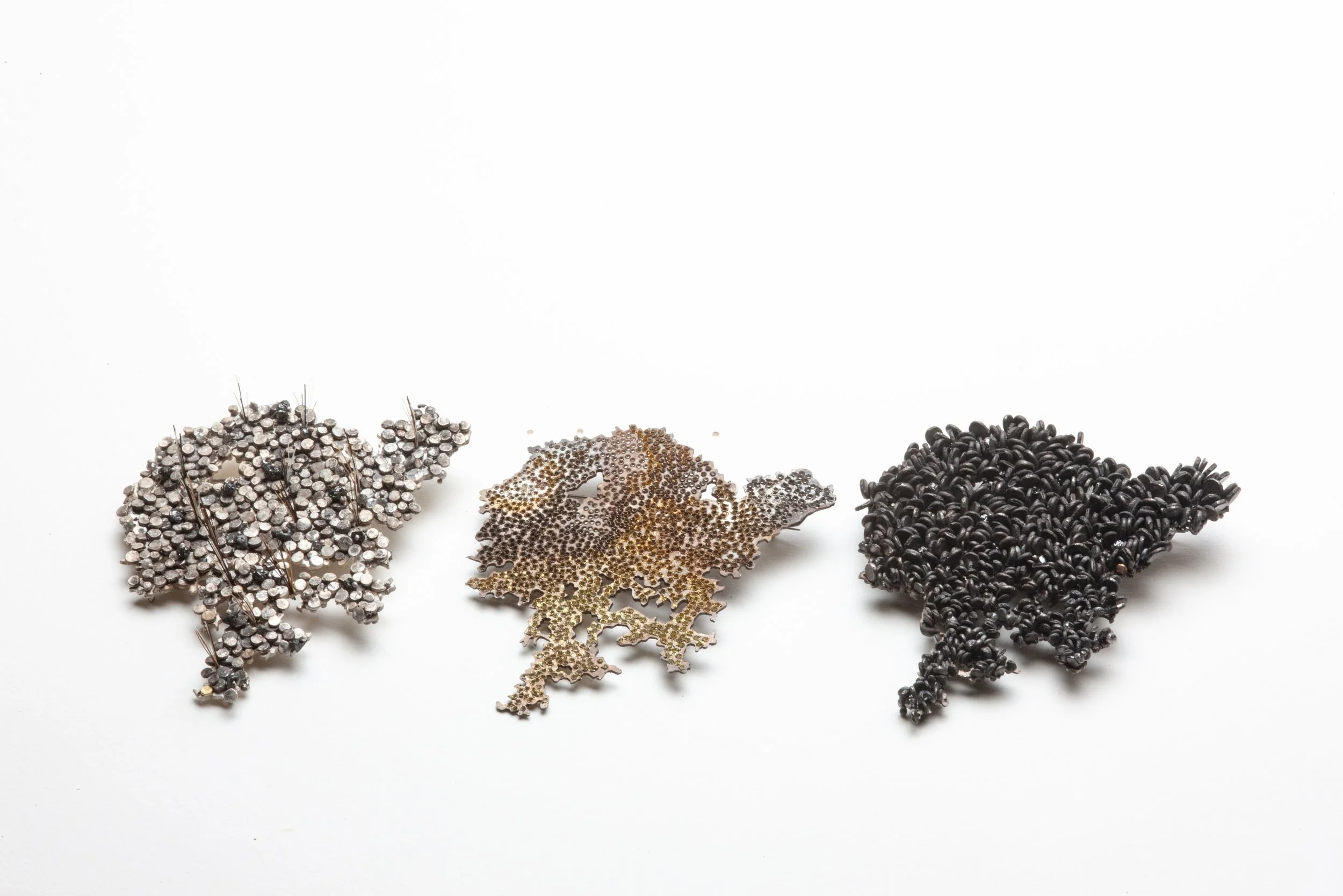 Tradescant series (3) 2024.jpg