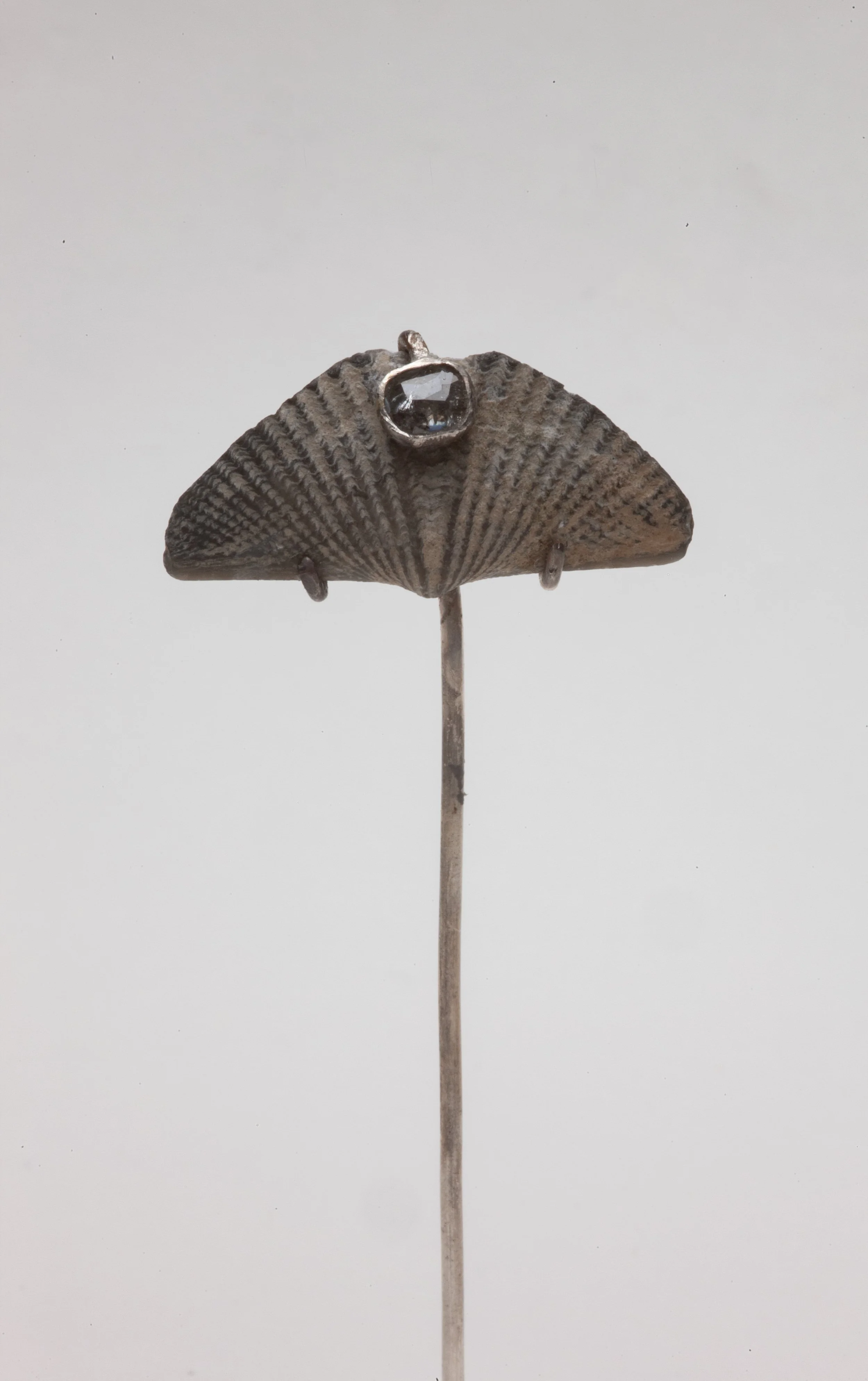 Art Nouveau Brachiopod 2.jpg