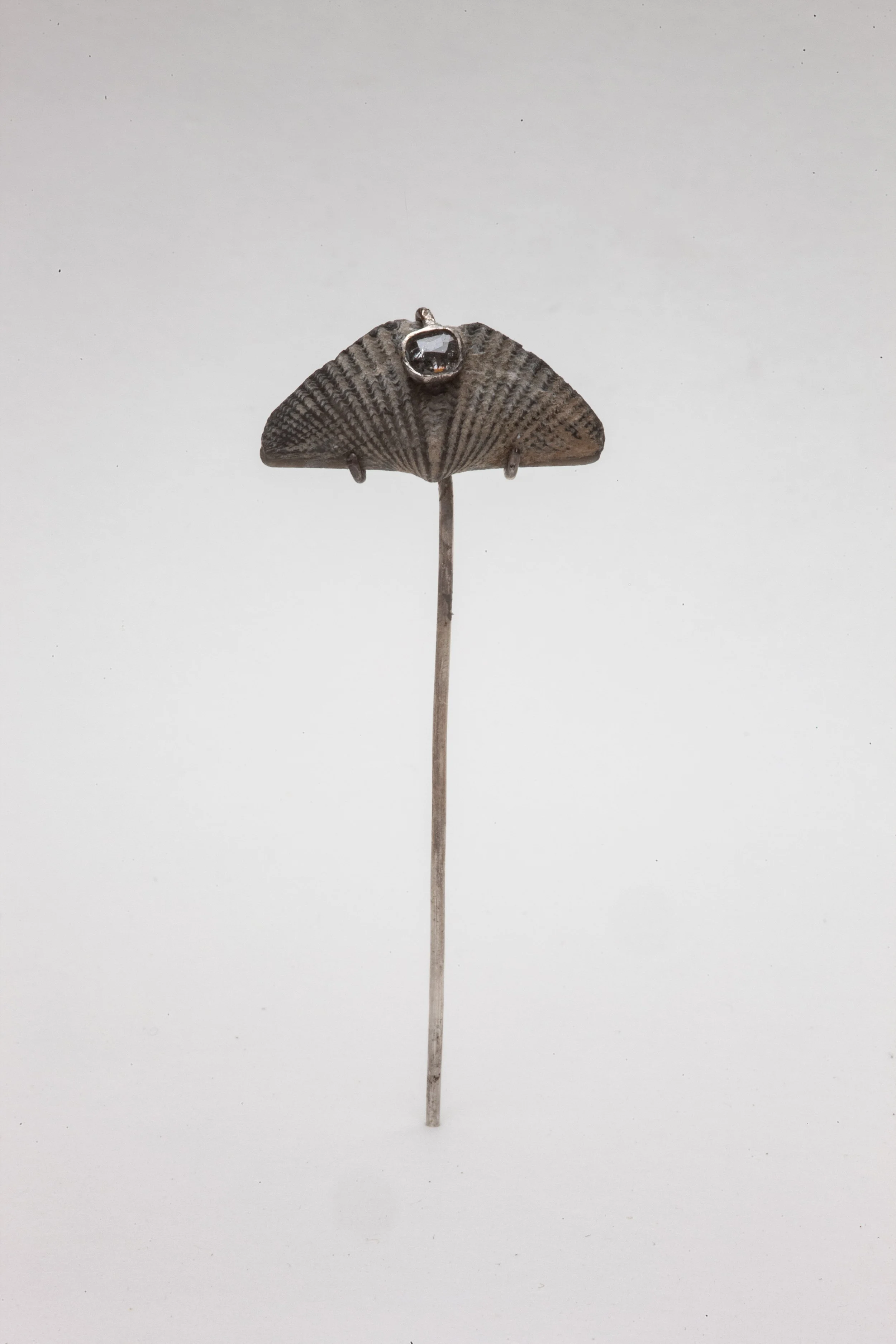 Art Nouveau Brachiopod.jpg
