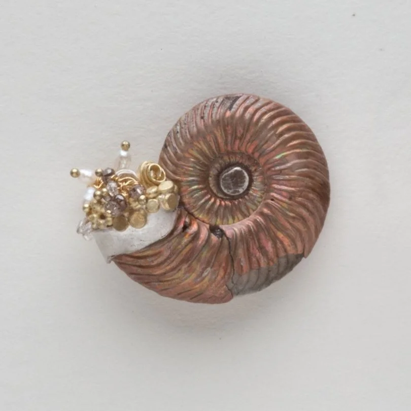 Irridescent+Ammonite+Earrings.jpg