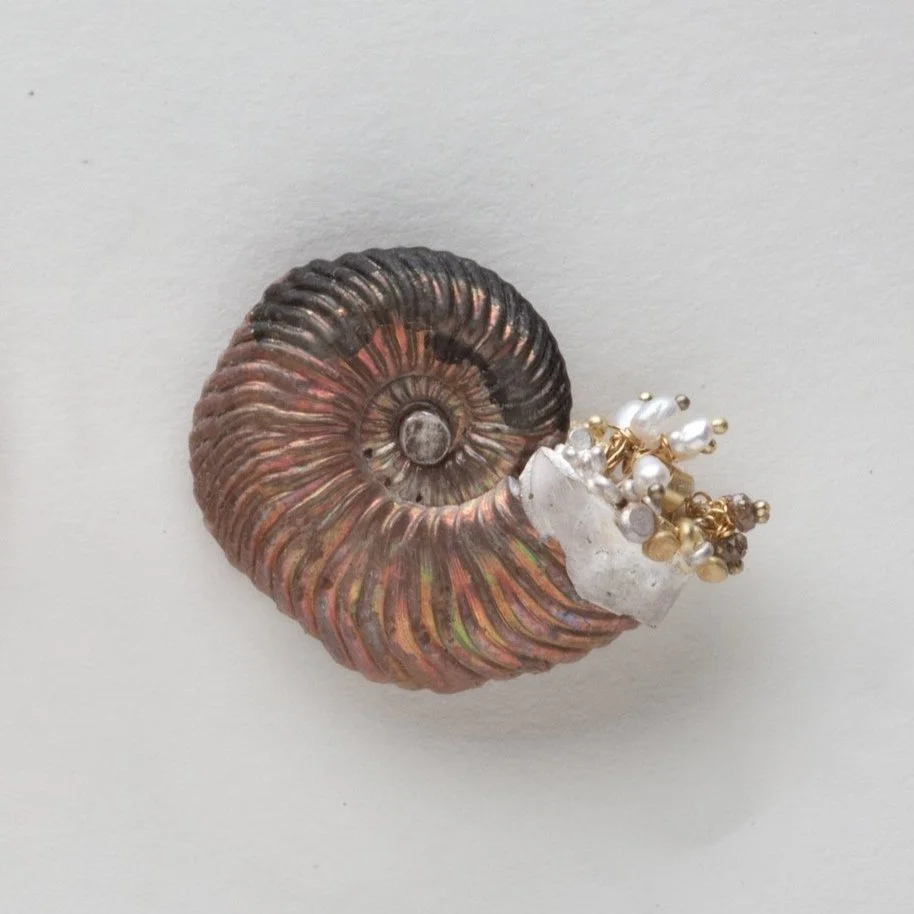 Irridescent+Ammonite+Earrings.jpg