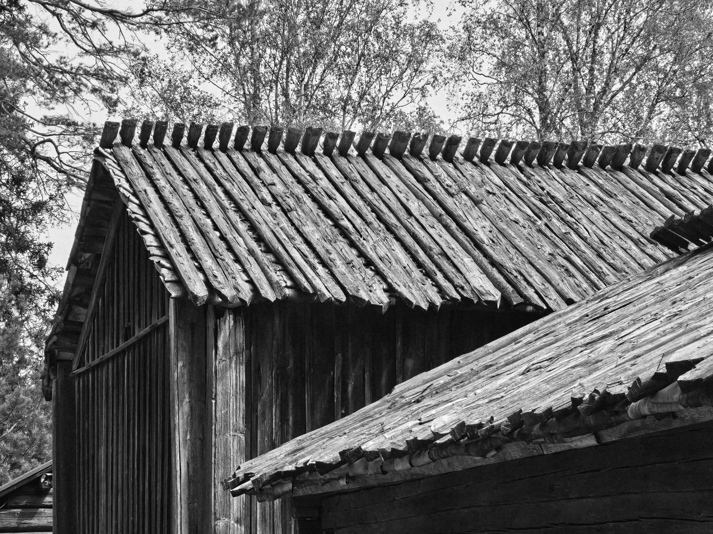 Finland Wooden Roof.webp