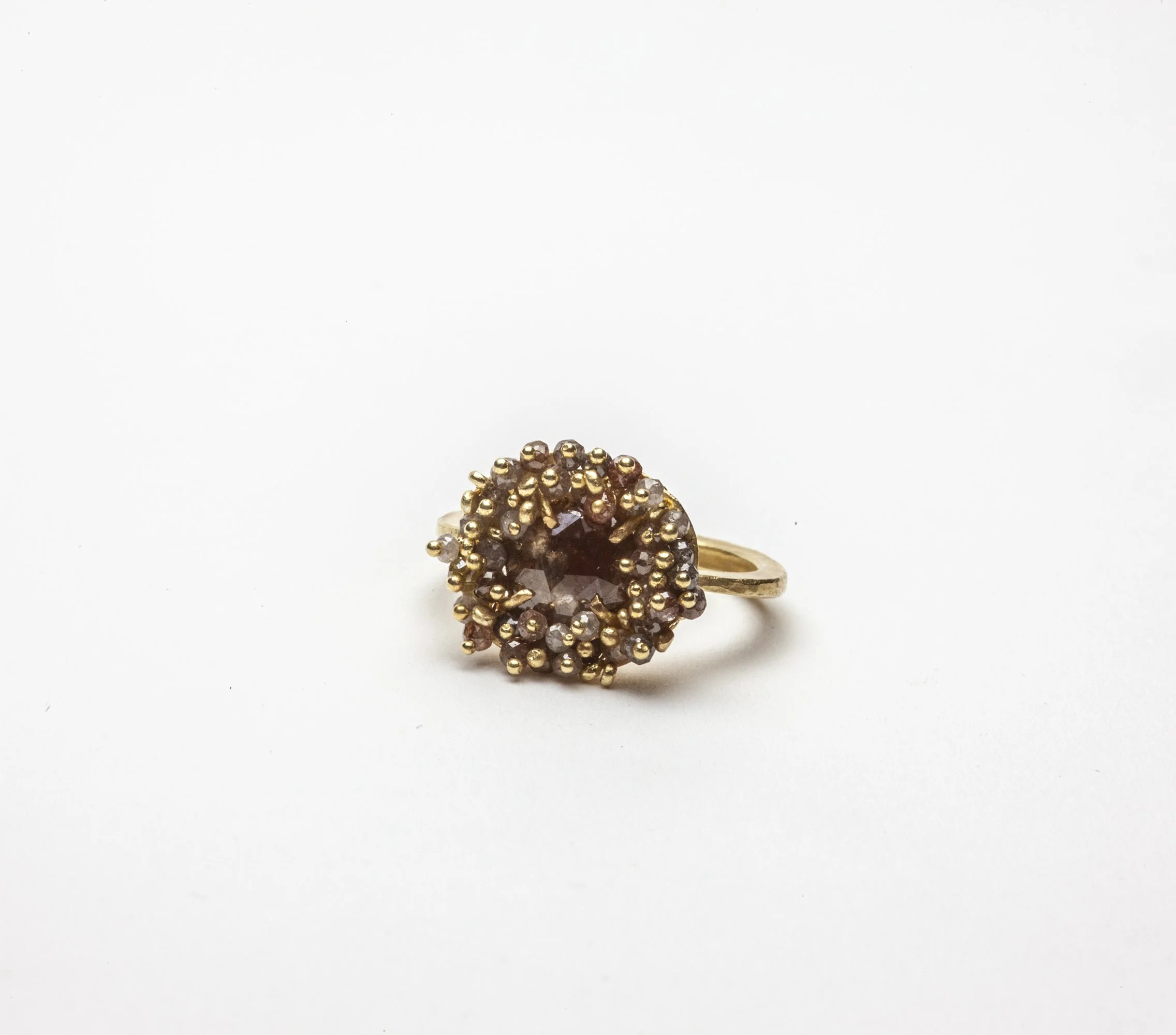 Red Cloud Ring 2026_3.jpg