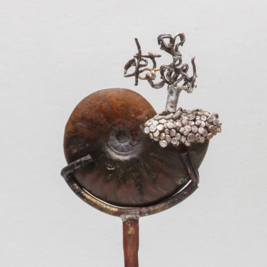 Ammonite+with+Landscape+2024.jpg