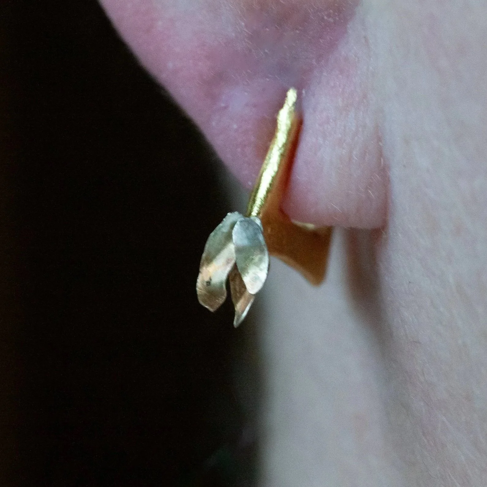 sideways+earrings_3.jpg
