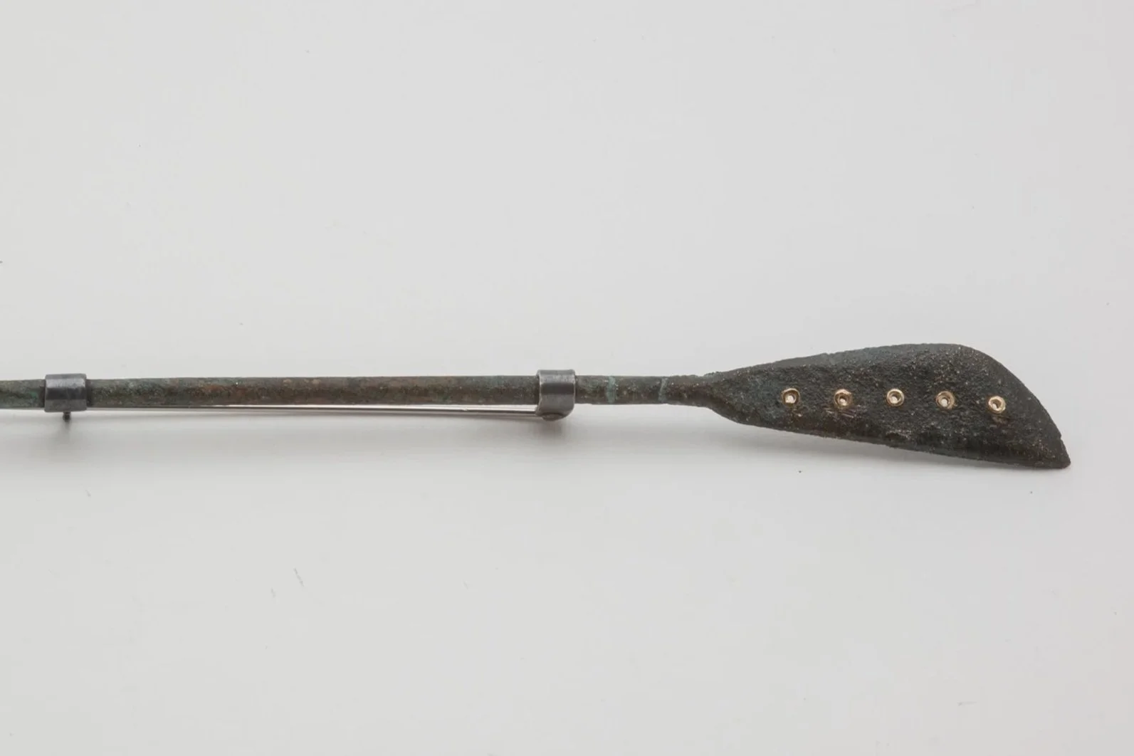 Spatulated+paddle_1_9-2026.jpg