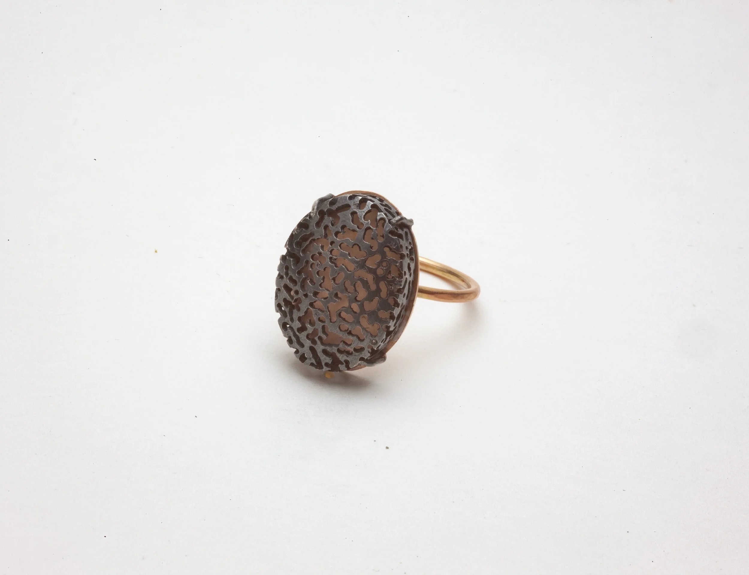 Veiled Ring 2026.jpg