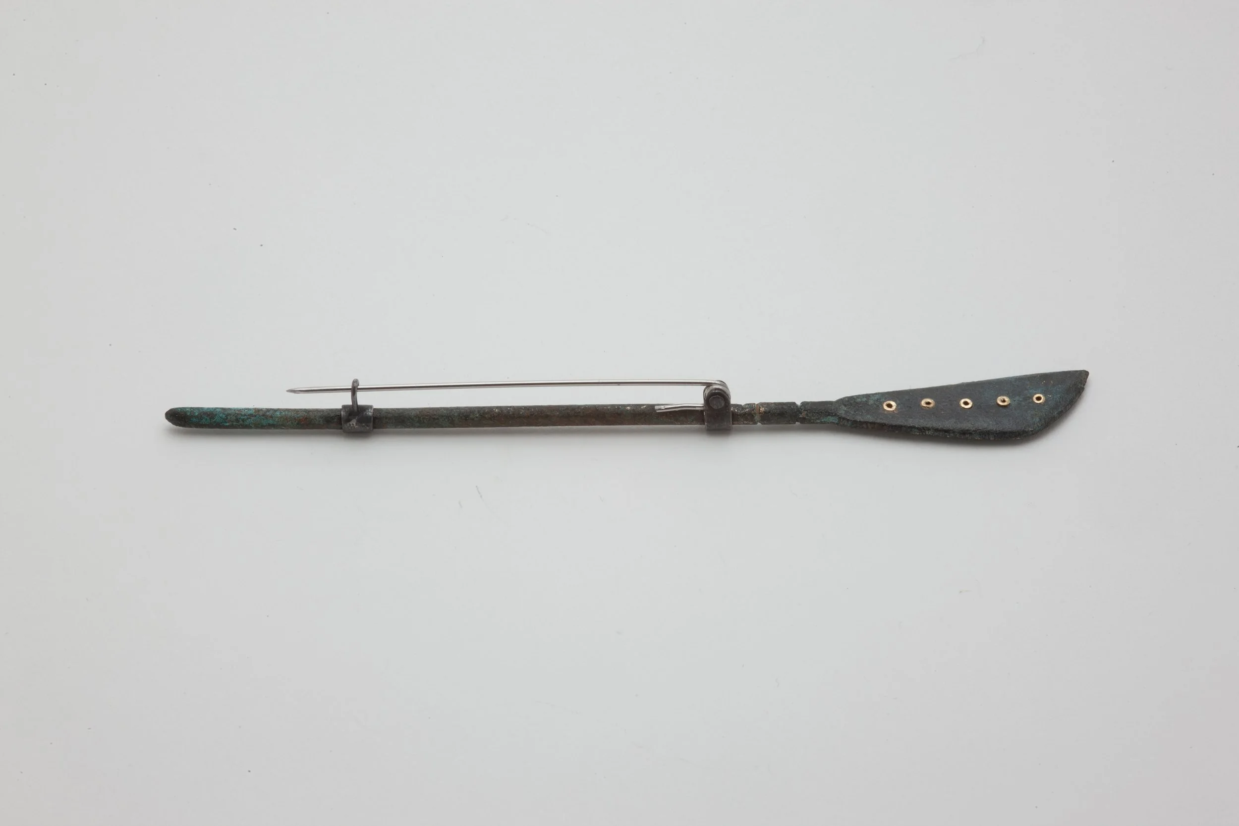 Spatulated paddle_3_9-2026.jpg