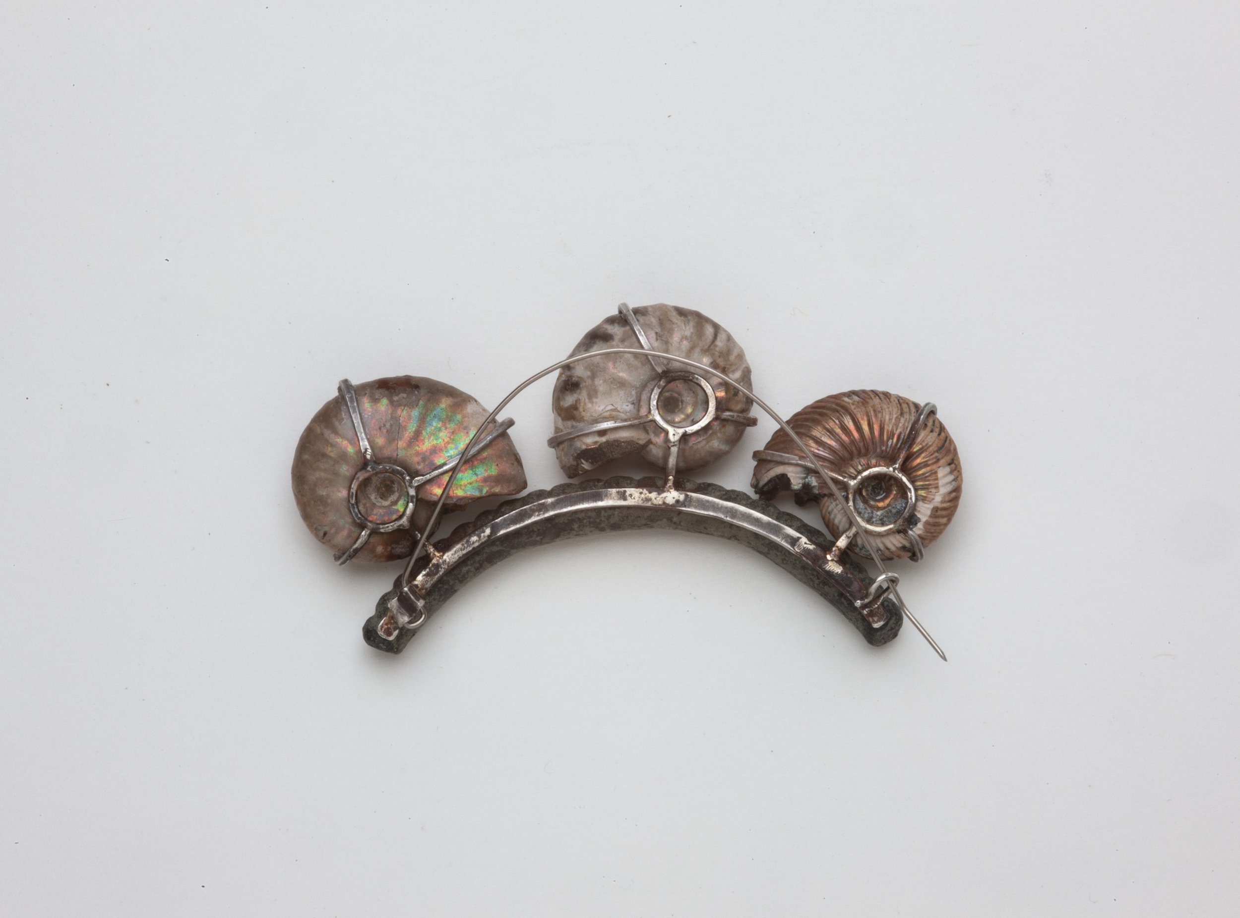 Triple Ammonite Brooch 2.jpg