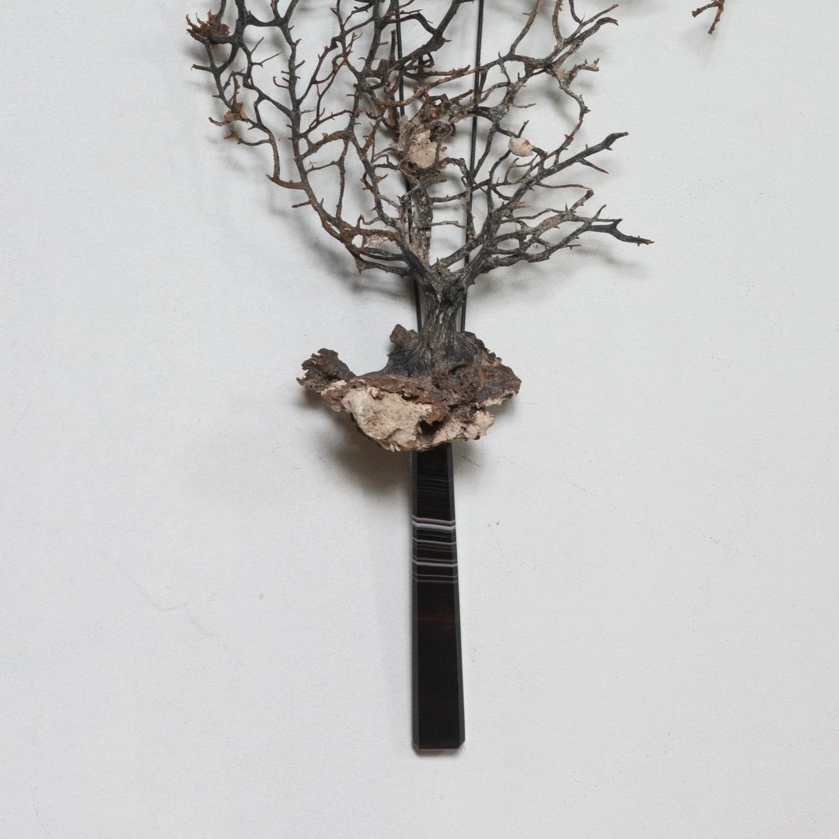 Seafan+on+Striped+Agate+Handle+3.jpg