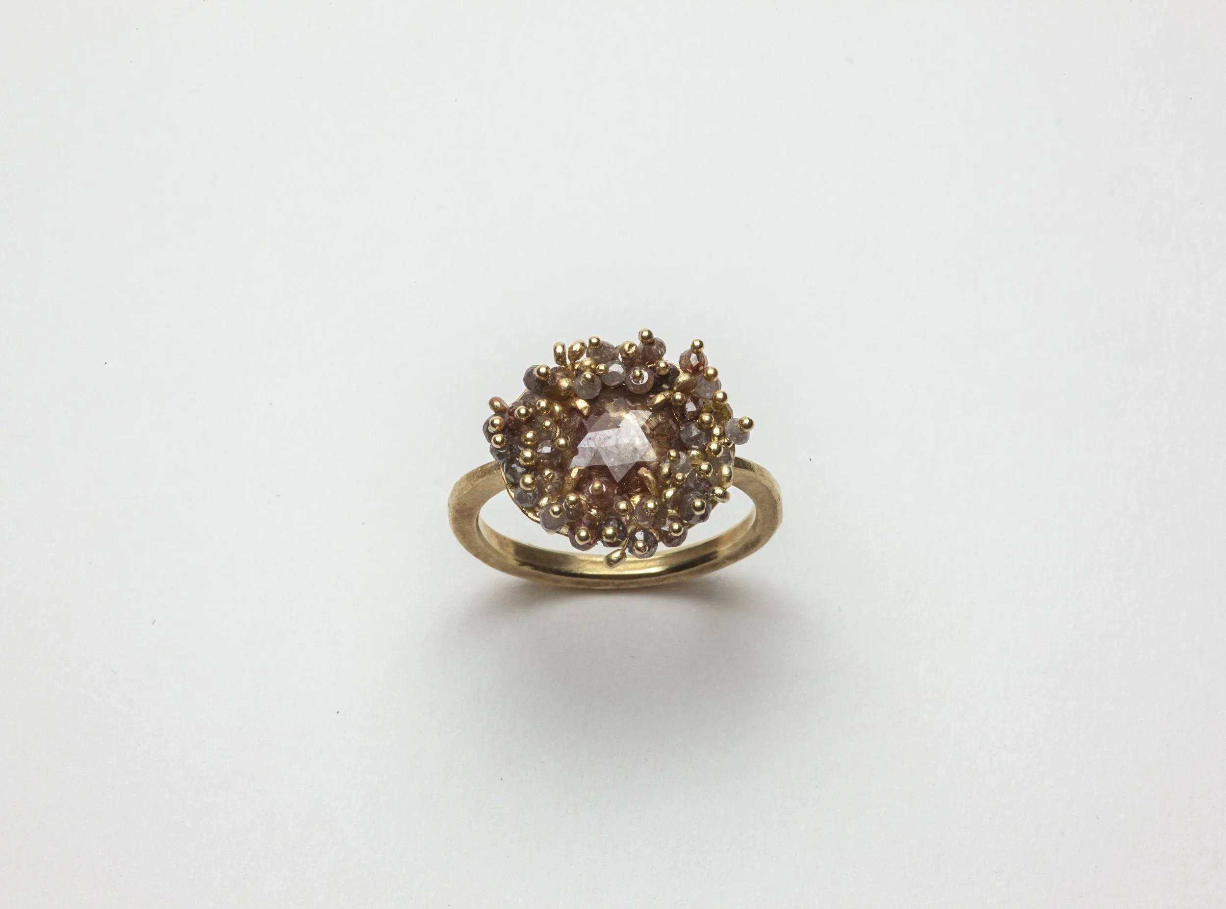 Red Cloud Ring 2026_2.jpg