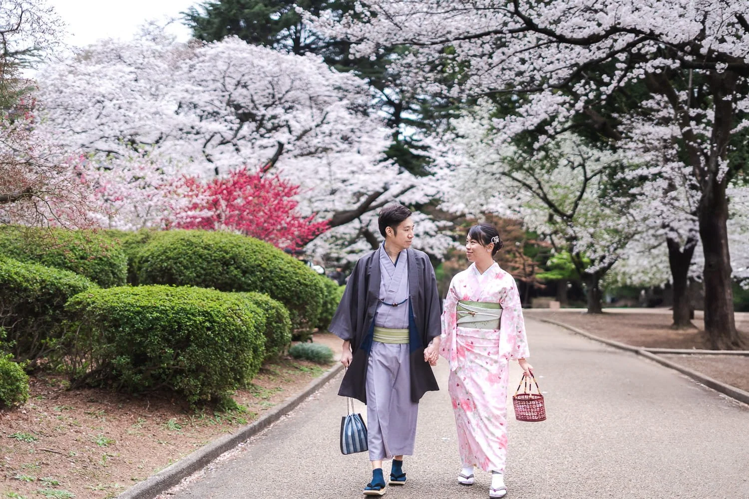 Grace & Perry holding hands walking around Shinjuku Gyoen Park with plum flowers and cherry blossom flowers together in the background