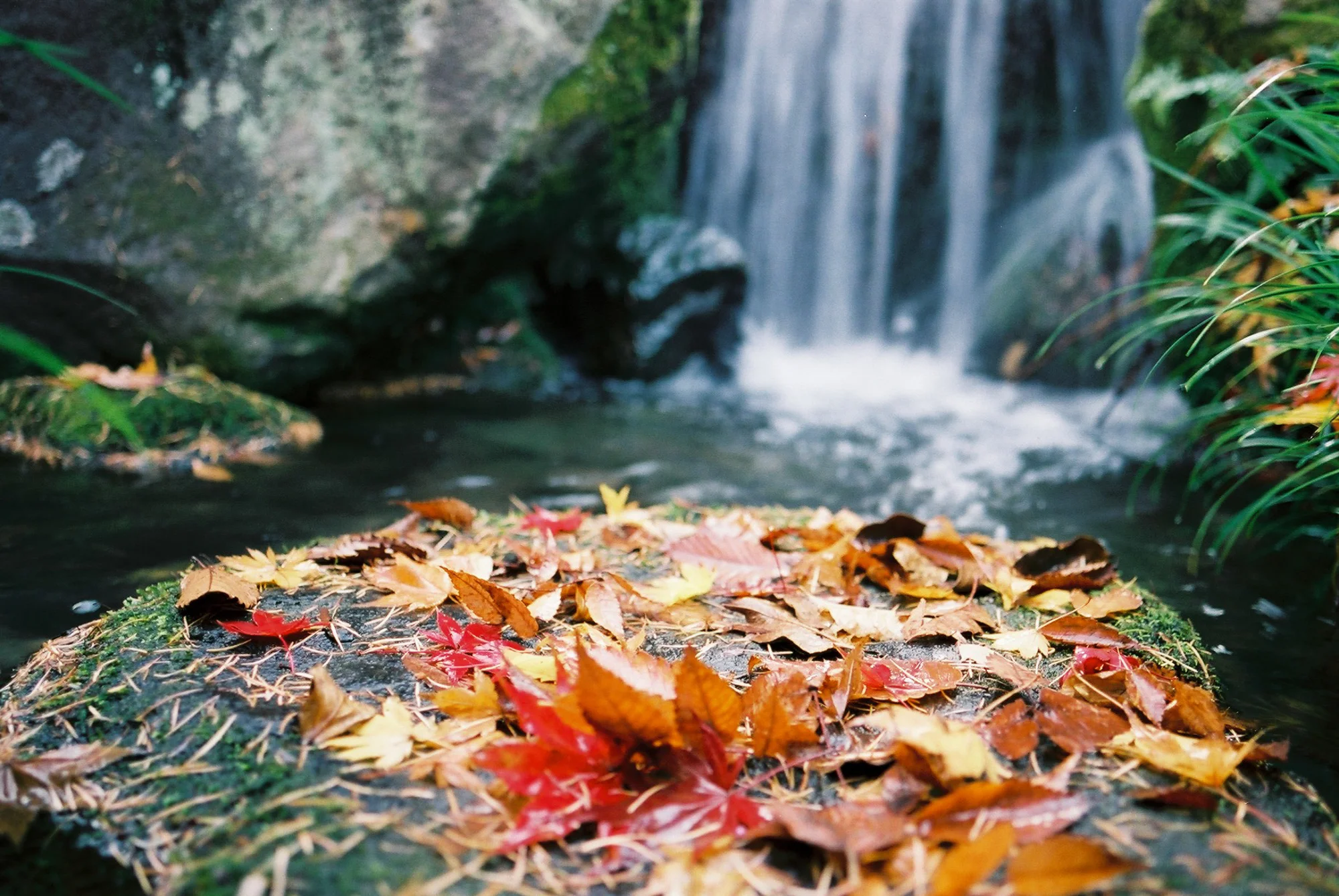 Fall Colors@Komoro, Nagano