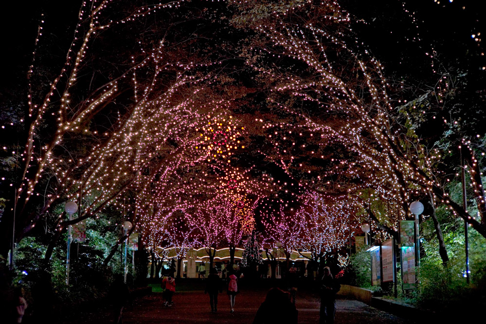nov-toshimaen.jpg