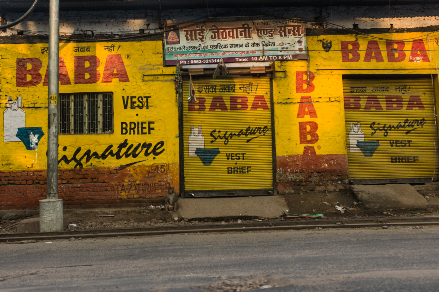 l1003637.jpg