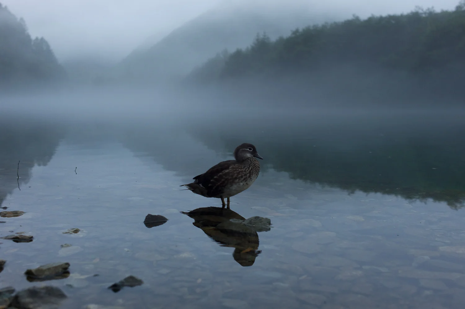 Mountain Trail @ Kamikochi, Nagano