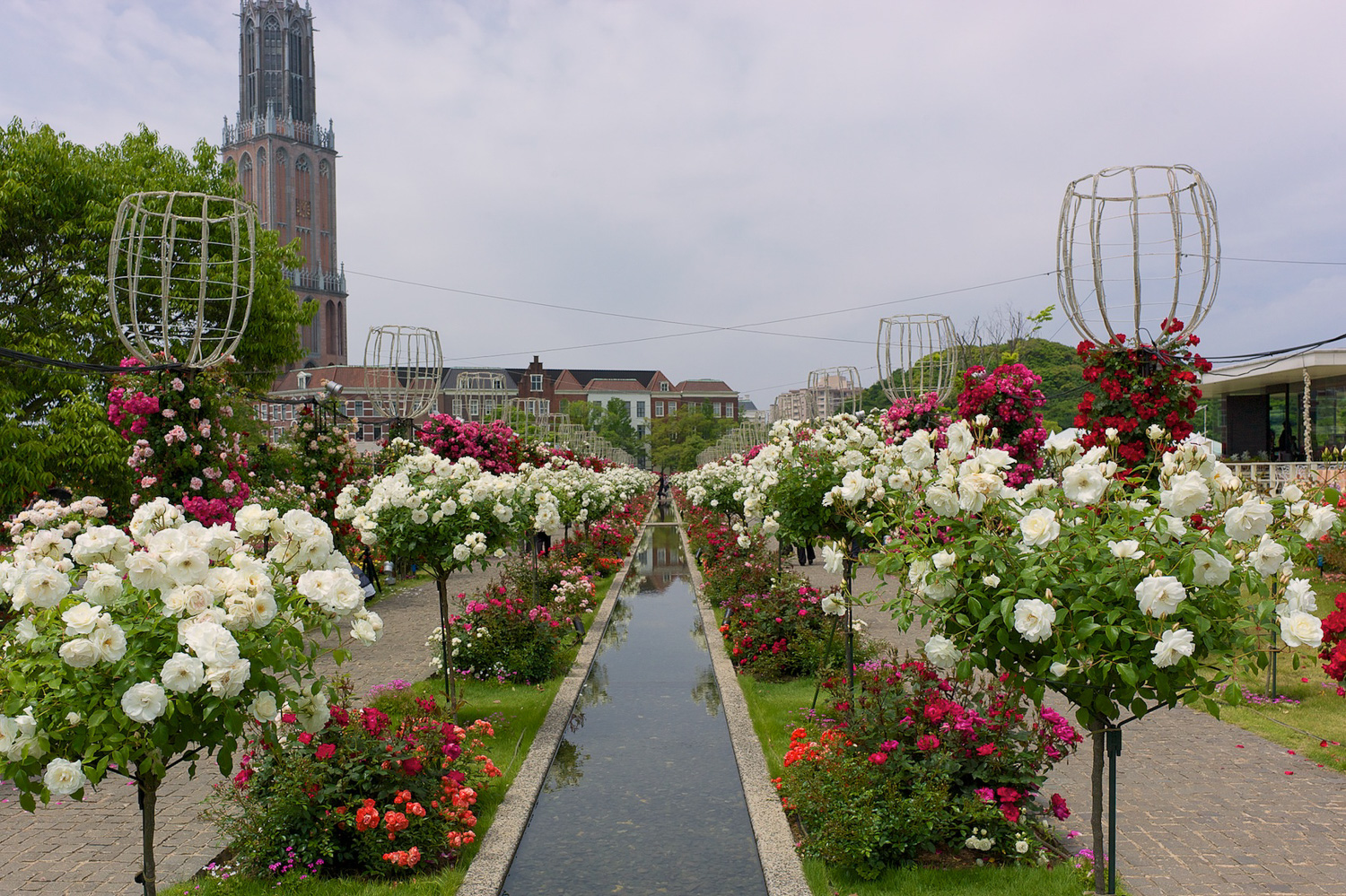 Rose Festival at Huis Ten Bosch, Sasebo, Nagasaki