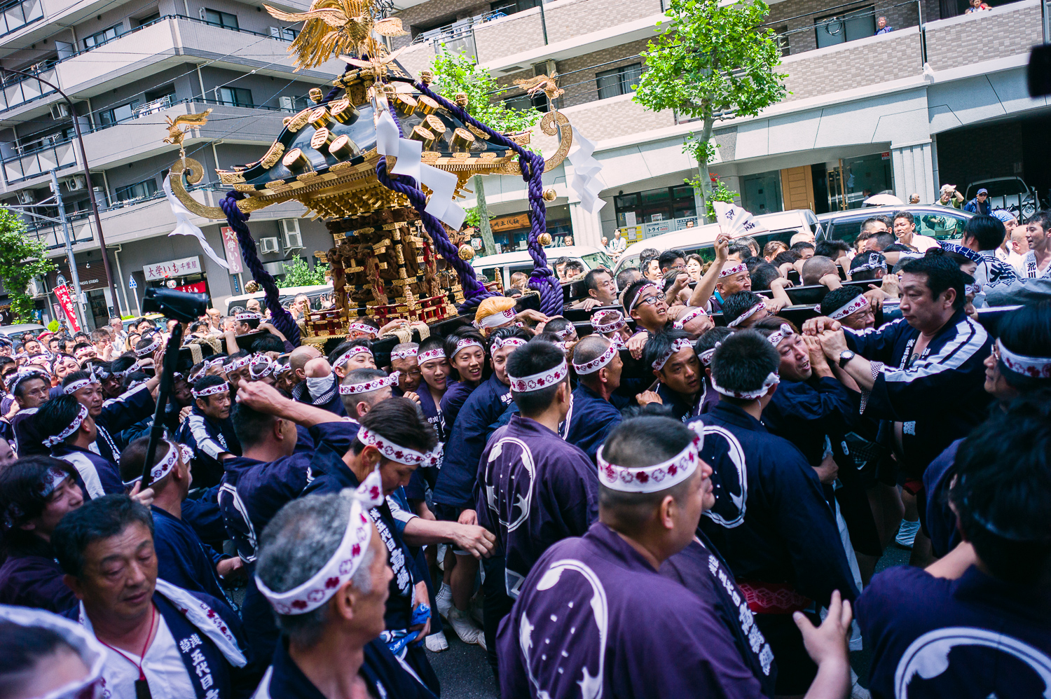 I have to admit this group had a really beautiful mikoshi and it is huge! See no. of people it took to carry.