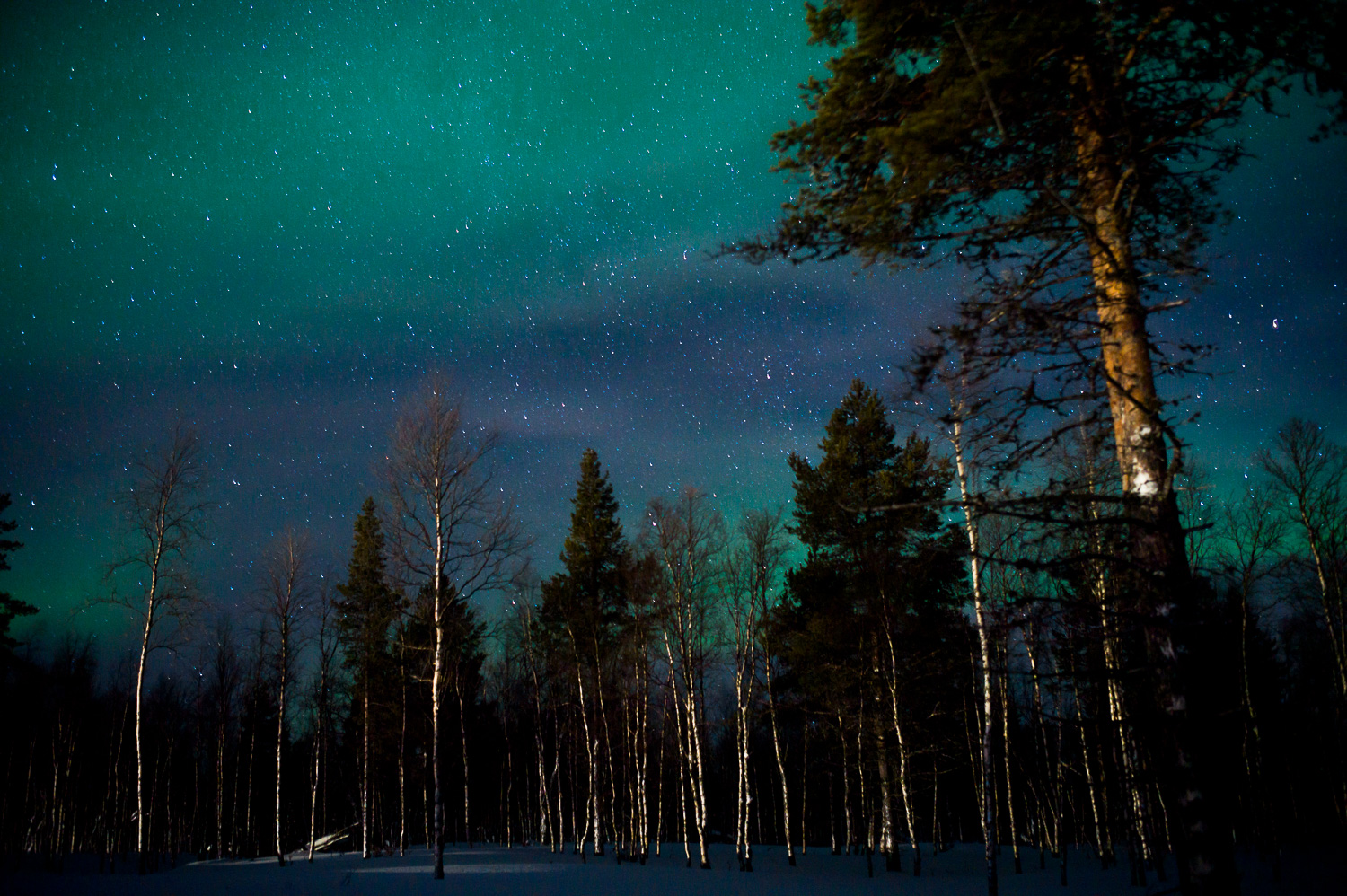 Northern Lights Hunting in Lapland