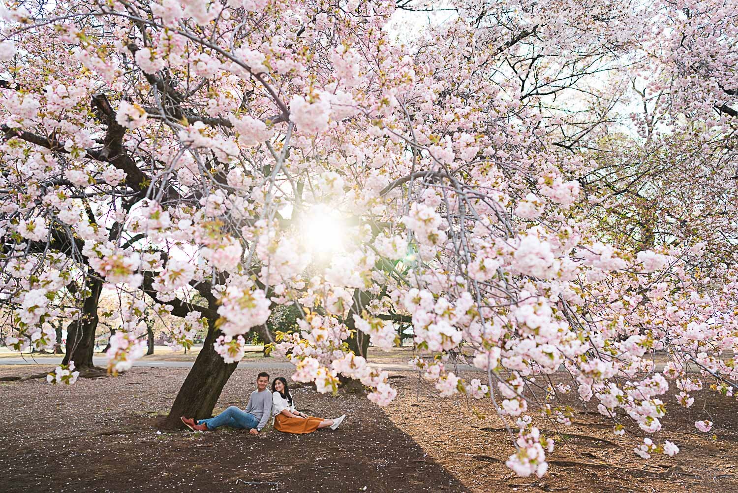 Tokyo Sakura Viewing & Photography: Tips and Etiquette — Tokyo Vacation ...