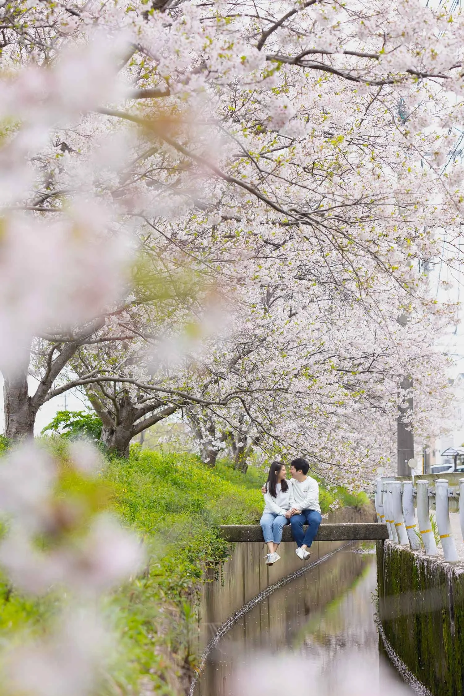 Fukuoka couple cherry blossom photoshoot