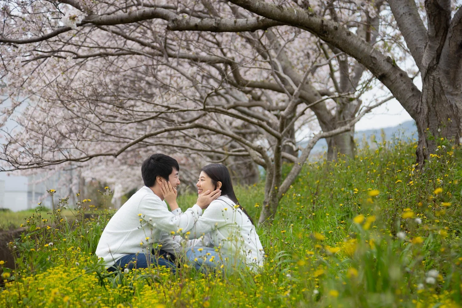 Couple cherry blossom photoshoot in Spring