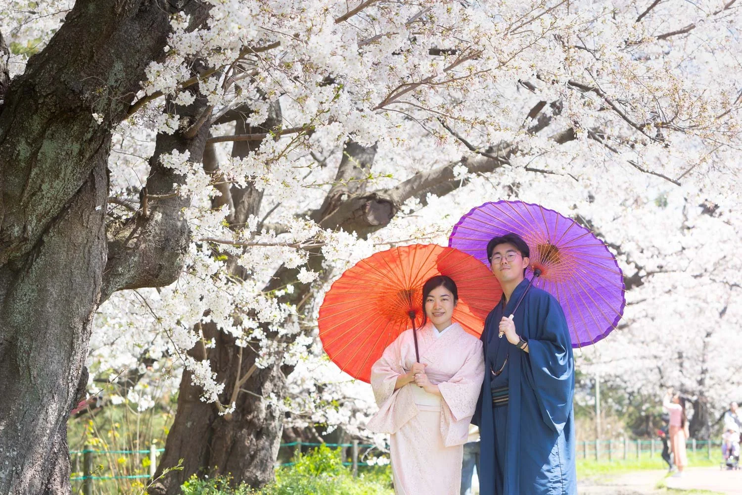 Couple kimono sakura photoshoot