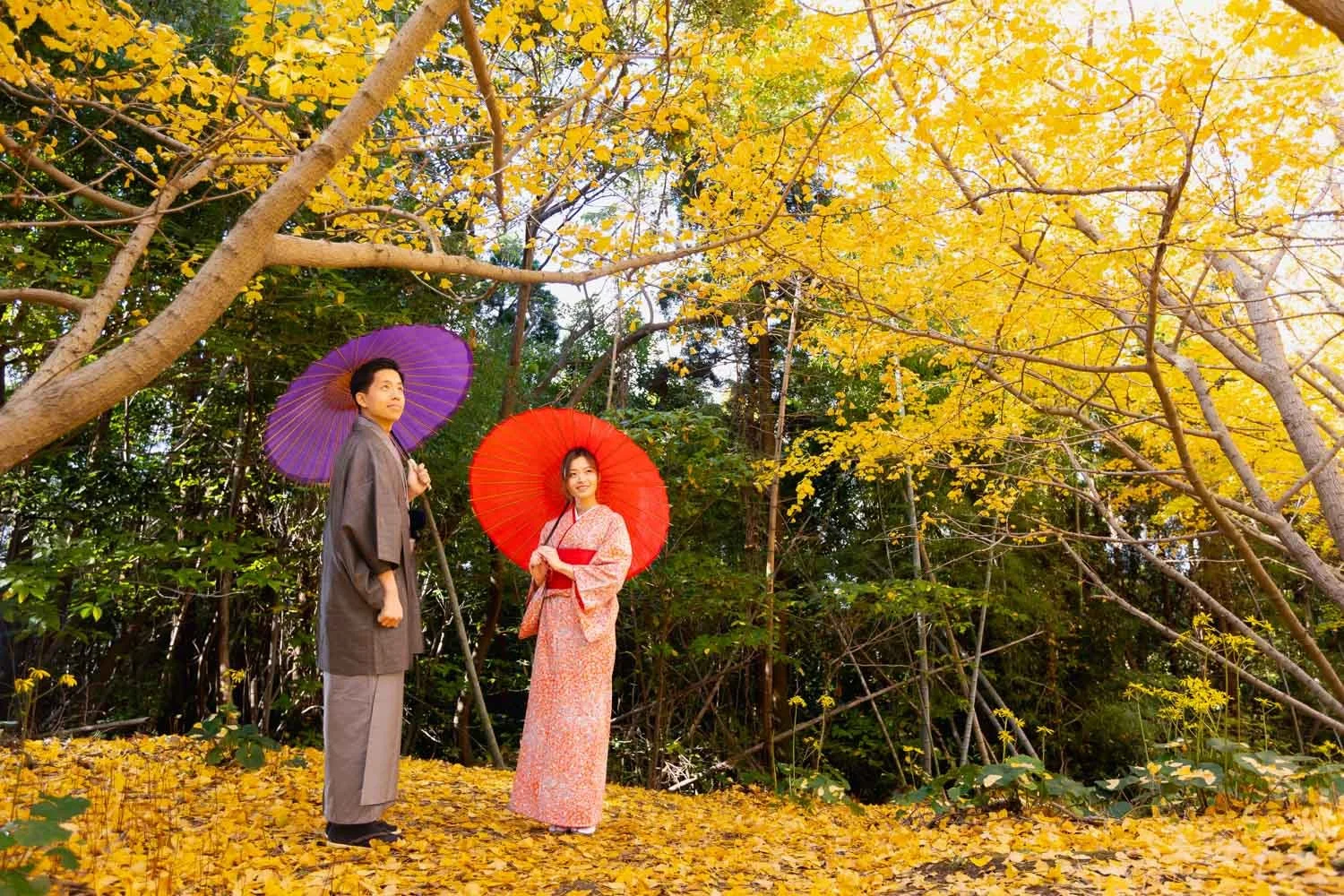 Kagoshima kimono photoshoot in Autumn