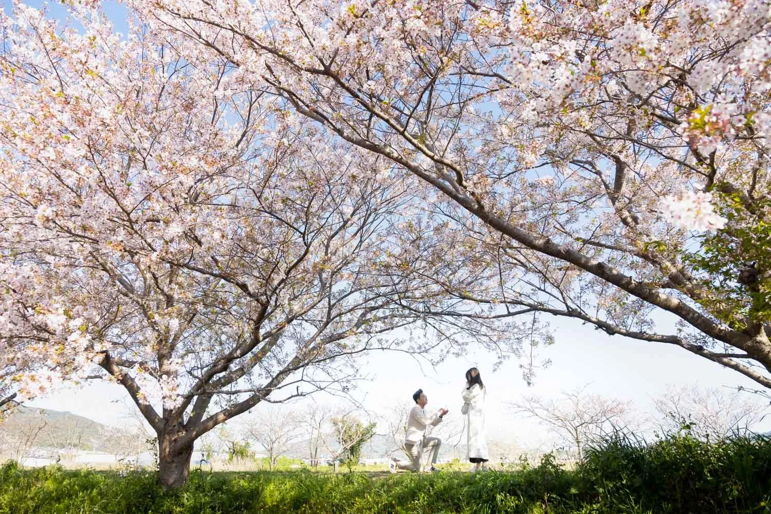 Fukuoka surprise proposal photographer
