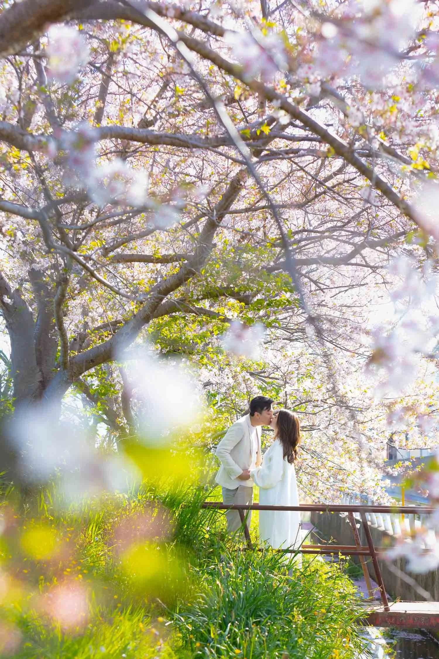 Fukuoka sakura surprise proposal photoshoot
