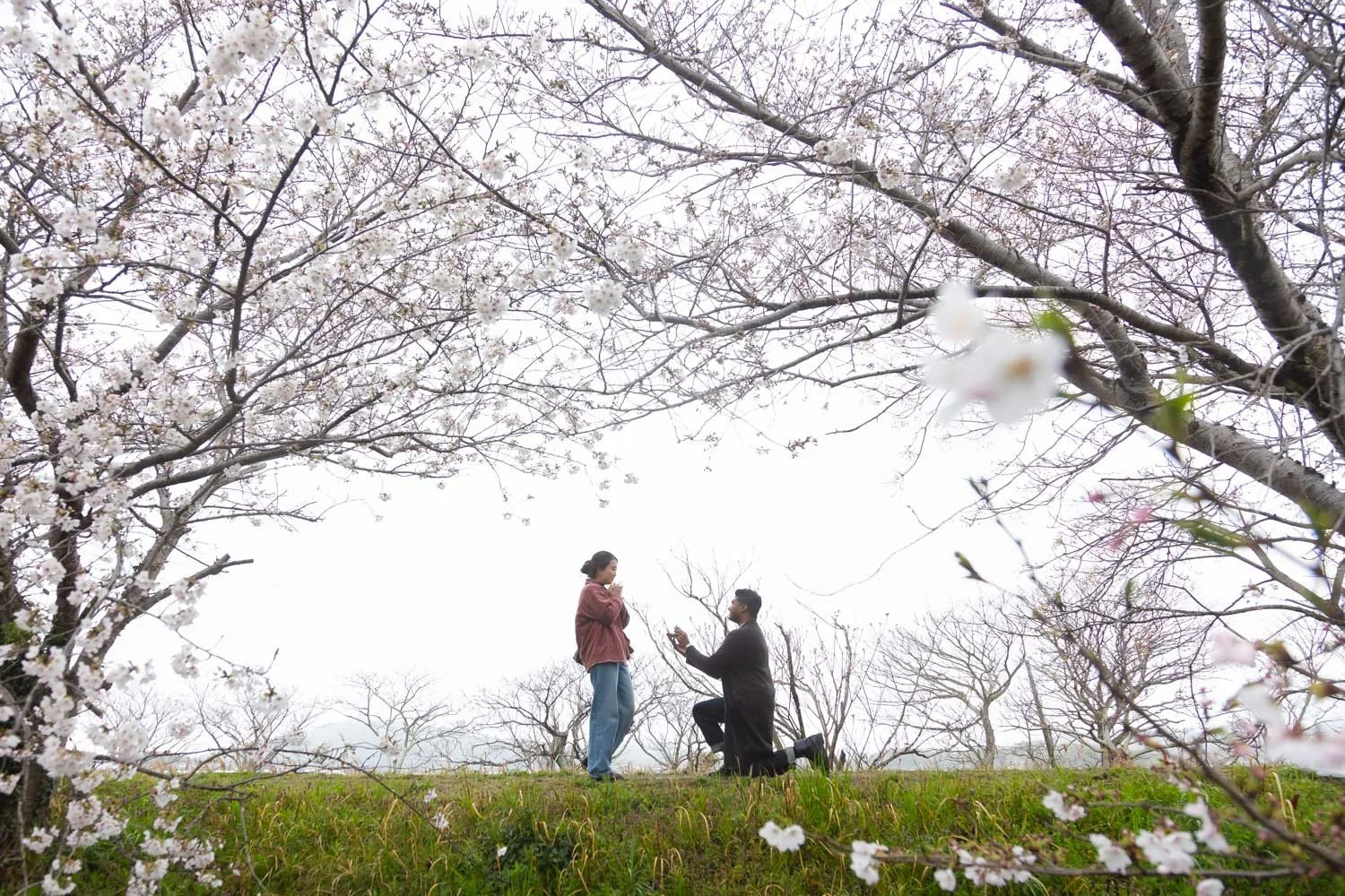 Fukuoka Spring surprise proposal photoshoot