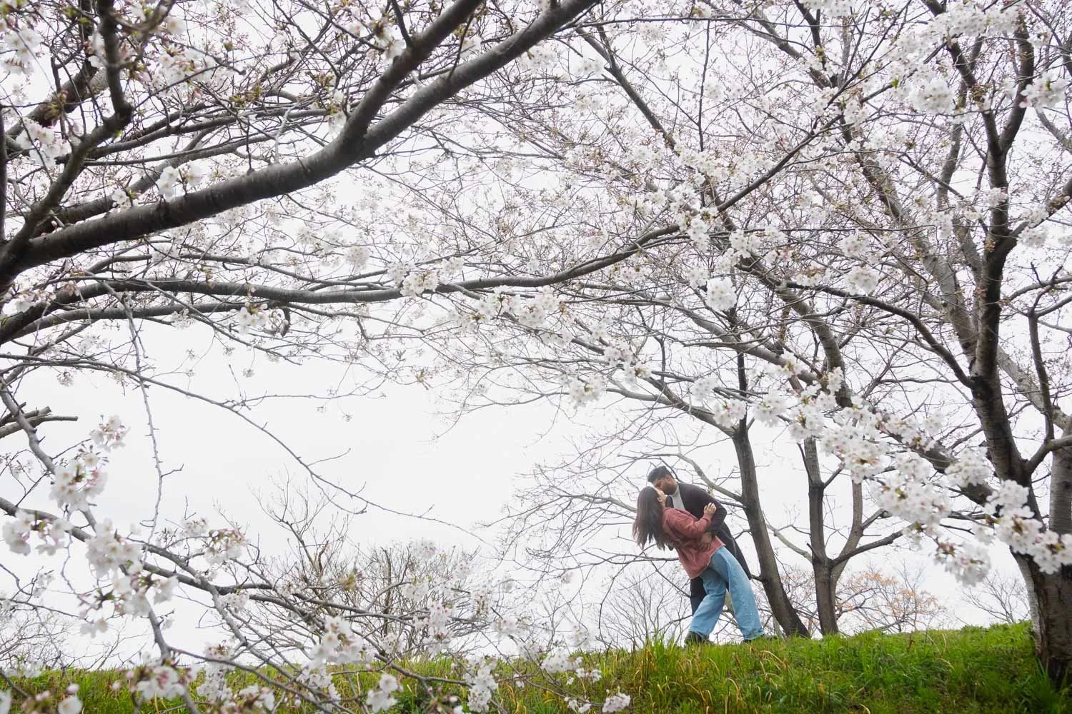 Itoshima Cherry Blossom photographer