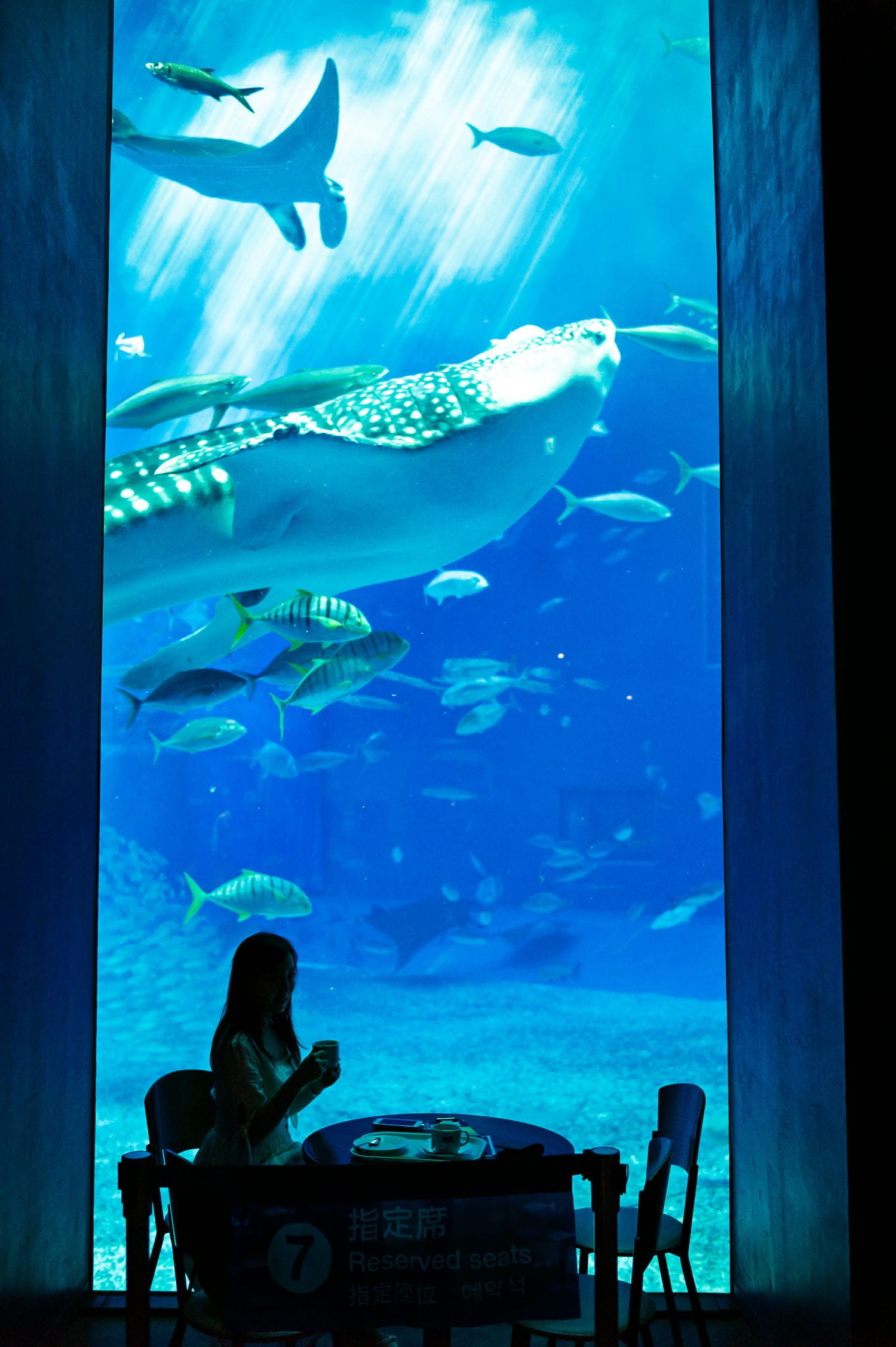 kinawa_travel_photographer_coffee_with_whale_shark.jpg