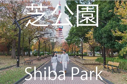 Photo Spot in Tokyo: Shiba Park &amp; Zojoji Temple